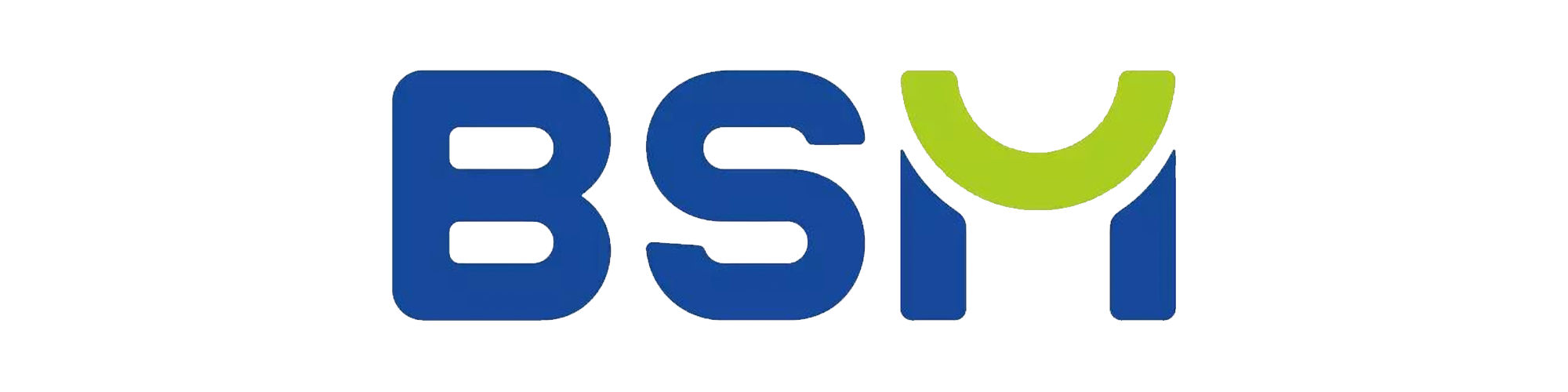 bsm